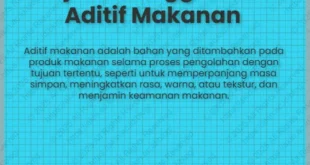 Penggunaan Aditif Makanan