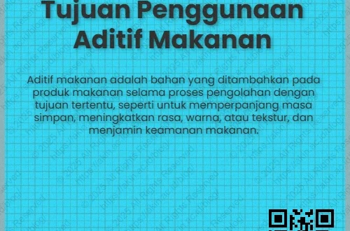Penggunaan Aditif Makanan