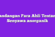 Pandangan Para Ahli Tentang Senyawa anorganik